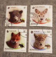 ROMANIA WILD CUBS SET CTO- USED - Gebruikt