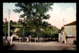 24 - VERGT - PLACE STE-MARIE ET ARBRE DE LA LIBERTE - CARTE COLORISEE - Autres & Non Classés