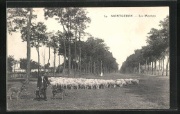 CPA Montgeron, Les Moutons  - Montgeron