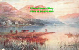 R382760 Arrochar. Head Of Loch Long. Tuck. Oilette. 7540. H. B. Wimbush. 1907 - World