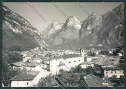 Trento Mezzolombardo Foto FG Cartolina ZF1198 - Trento
