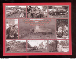 Label Transnistria 2022 30 Years Of Moldovan Armed Aggression Against The People Of Transnistria Sheetlet**MNH Self-adhe - Vignettes De Fantaisie