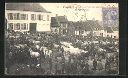 CPA Fruges, La Foire Aux Chevaux  - Fruges