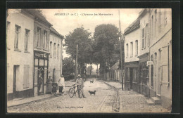 CPA Ardres, L`Avenue Des Marronniers  - Ardres