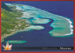 Polynésie Française / Moorea - Côte Nord 361 - Tahiti