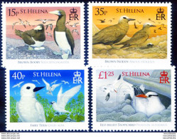 Fauna. Uccelli 2008. - Isla Sta Helena