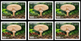 GUINEA BISSAU 2024 IMPERF SET 6V - REG & OVERPRINT - MUSHROOMS CHAMPIGNONS - BIODIVERSITY - WILDLIFE WORLD DAY - MNH - Pilze