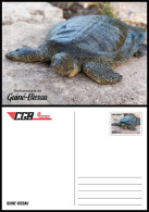 GUINEA BISSAU 2024 STATIONERY CARD - REG & OVERPRINT - TURTLE TURTLES TORTUES - BIODIVERSITY - WILDLIFE WORLD DAY - Tortugas