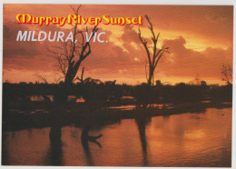 Australia VICTORIA VIC Murray River Sunset MILDURA Rose No.2016 Postcard C1980s - Mildura