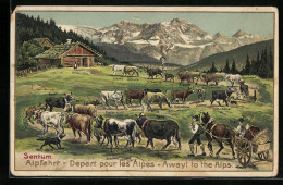 Künstler-AK Kühe Auf Dem Weg In Die Alpen, Mit Namen Der Kühe  - Cows