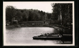 AK Meerane I. Sa., Blick Auf Den Gondelteich  - Meerane