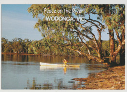 Australia VICTORIA VIC Canoe On Murray River WODONGA Rose No.3681 Postcard C1990s - Otros & Sin Clasificación