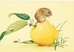 CPSM Illustrateur-Field Vole By Kenneth Lilly-Timbre      L2851 - Andere & Zonder Classificatie