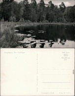 Ansichtskarte Neuglobsow-Stechlin Teufelssee 1960 - Neuglobsow