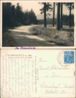 Ansichtskarte Schmiedefeld (Rennsteig) Am Rennsteig 1955 - Schmiedefeld