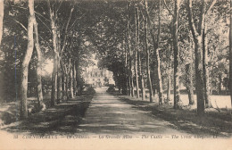 37 CHENONCEAUX LE CHÂTEAU - Chenonceaux