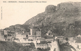 98 MONACO LE PALAIS DU PRINCE - Palacio Del Príncipe