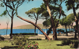 6 JUAN LES PINS LA PINEDE - Juan-les-Pins