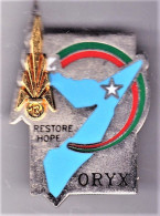 13° DBLE. 13° Demi-Brigade De Légion étrangère. Opération Oryx Restore Hope. Matriculé. Balme. - Hueste