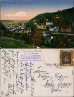 Ansichtskarte Saarbrücken Partie Am Winterberg 1923  - Saarbruecken