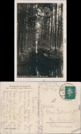 Ansichtskarte Lübbenau (Spreewald) Lubnjow Kahnpartie - Fotokarte 1929  - Luebbenau