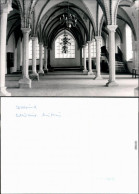 Foto Stralsund Kulturhistorisches Museum 1965 Privatfoto - Stralsund