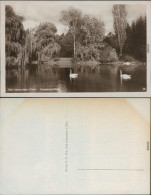 Ansichtskarte Bad Liebenstein Elisabeth-Park - Schwanenteich 1930 - Bad Liebenstein