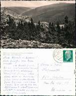 Ansichtskarte Kipsdorf-Altenberg (Erzgebirge) Blick Auf Den Ort 1968 - Kipsdorf
