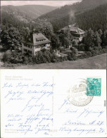 Bärenfels (Erzgebirge)-Altenberg (Erzgebirge) FDGB-Ferienheime 1961 - Altenberg