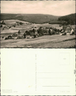 Ansichtskarte Rehefeld-Altenberg (Erzgebirge) Blick Auf Den Ort 1961 - Rehefeld