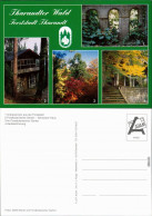 Tharandt Impressionen Aus Der Forststadt, Schweizer Haus, Herbststimmung 1995 - Tharandt