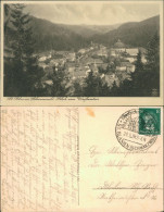 Ansichtskarte St. Blasien Blick Auf Den Ort 1928 - St. Blasien