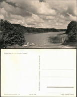 Ansichtskarte Kagar-Rheinsberg Zootzen-See 1966 - Rheinsberg