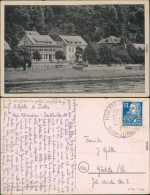 Postelwitz-Bad Schandau Panorama-Ansicht Mit Cafe Häntschel 1955 - Bad Schandau