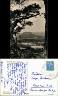 Gohrisch (Sächs. Schweiz) Blick Auf Den Ort Mit Lilienstein 1958 - Gohrisch