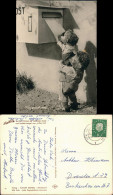 Ansichtskarte  Mecki (Diehl-Film) - Mecki Brief, Briefkasten 1960 - Mecki