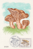 Carte  Maximum  1er  Jour   SAINT  PIERRE  Et   MIQUELON    Champignon   1987 - Tarjetas – Máxima