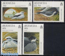 Bermuda 1997 Bird Protection 4v, Mint NH, Nature - Birds - Bermuda