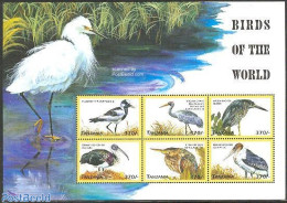 Tanzania 1999 Birds 6v M/s, Blacksmith Plover, Mint NH, Nature - Birds - Storks - Tanzania (1964-...)