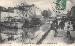 17-SAUJON-Les Bords De La Seudre-N 6003-C/0087 - Saujon