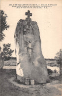 22-TREBEURDEN-Menhir De Penvern-N 6003-E/0357 - Trébeurden