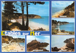 22-ETABLES SUR MER-N°3733-D/0289 - Etables-sur-Mer