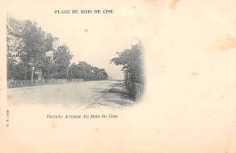 80-BOIS DE CISE-Grande Avenue Du Bois De Cise-N 6004-A/0171 - Bois-de-Cise