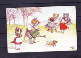 POSTCARD-ANIMALS-CATS-SEE-SCAN - Chats