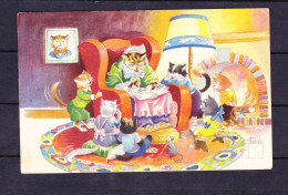 POSTCARD-ANIMALS-CATS-SEE-SCAN - Chats