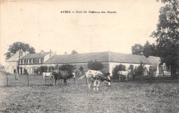 91-ATHIS MONS-Parc Du Château Des Marais-N 6005-G/0047 - Athis Mons