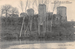 79-COUDRAY SALBRAT-Château-N 6006-B/0263 - Autres & Non Classés