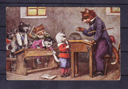 POSTCARD-ANIMALS-CATS-SEE-SCAN - Chats