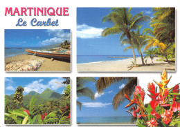 972-MARTINIQUE PLAGES DU CARBET-N°3738-B/0139 - Autres & Non Classés