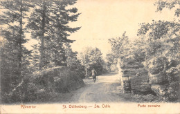 67-SAINTE ODILE-PORTE ROMAINE-6011-N 6007-E/0259 - Sainte Odile